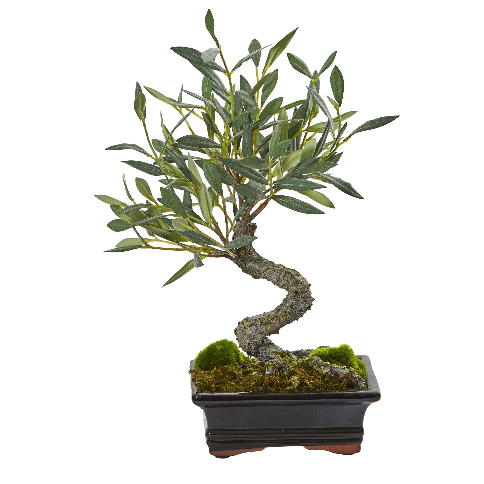 Plants & Topiaries - BlueJay Avenue
