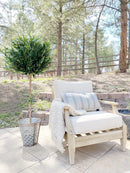 5.5' Outdoor Olive Artificial Tree UV Resistant - BlueJay Avenue