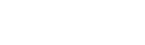 BlueJay Avenue Logo