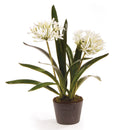Agapanthus Drop - In Artificial Flower Arrangement 23" - BlueJay Avenue