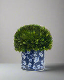 Boxwood Half Ball Artificial Plant In Pot 14.5'' - BlueJay Avenue