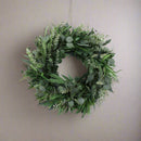 Eucalyptus Deluxe 24'' Front Door Wreath - BlueJay Avenue