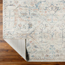 Marlene Cream & Blue Traditional Area Rug - BlueJay Avenue