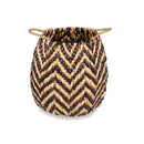 Alfa Basket - BlueJay Avenue