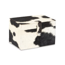 Chase Boxes, Set of 2 - BlueJay Avenue