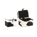 Chase Boxes, Set of 2 - BlueJay Avenue