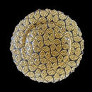 Gold Clear Glass Charger Plate - Set of 4 - BlueJay Avenue