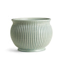 Graffio Grande Cachepot Planter - BlueJay Avenue