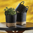 Madura Market Baskets, Set of 3 - BlueJay Avenue