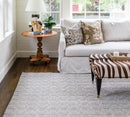 Newton Hand Woven Recycled Indoor Outdoor Rug - BlueJay Avenue