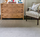 Newton Hand Woven Recycled Indoor Outdoor Rug - BlueJay Avenue