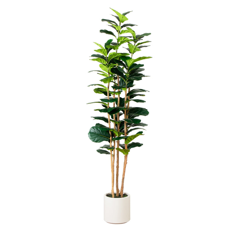 7’ Artificial Fiddle Leaf Tree in Decorative White Planter - BlueJay Avenue