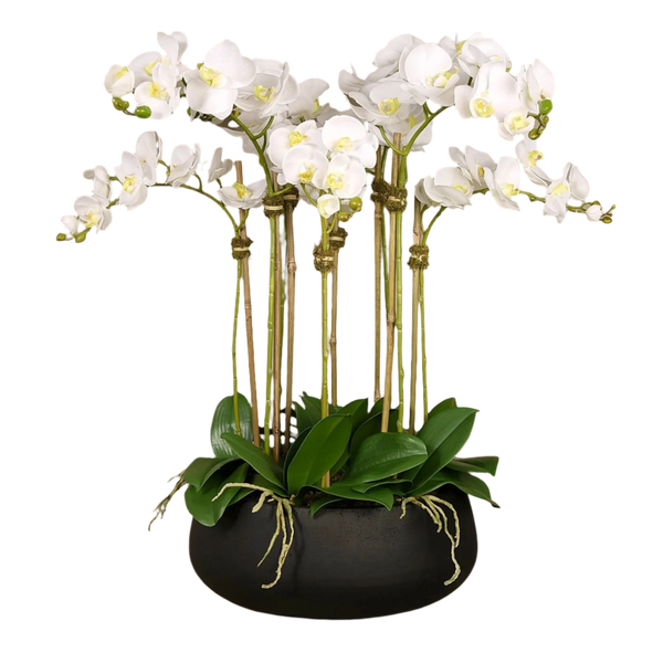 Artificial White Orchid Flower Arrangement in Black Planter