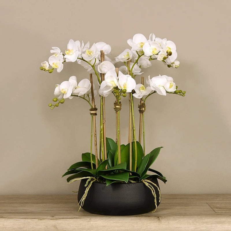 Artificial White Orchid Flower Arrangement in Black Planter