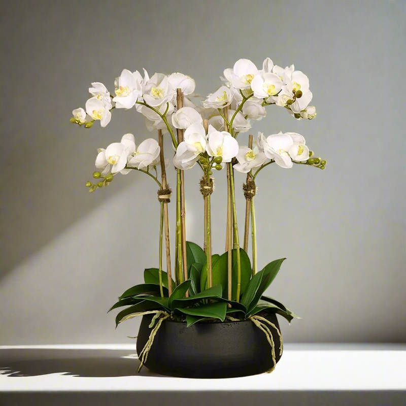 Artificial White Orchid Flower Arrangement in Black Planter