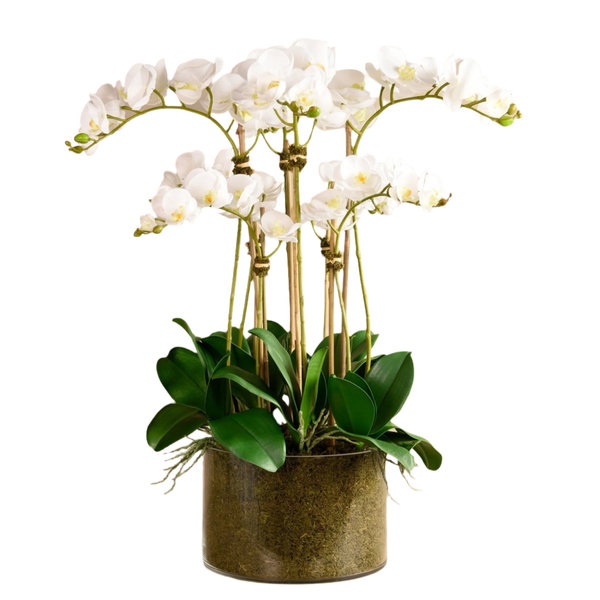 Artificial White Orchid Flower in Glass Vase