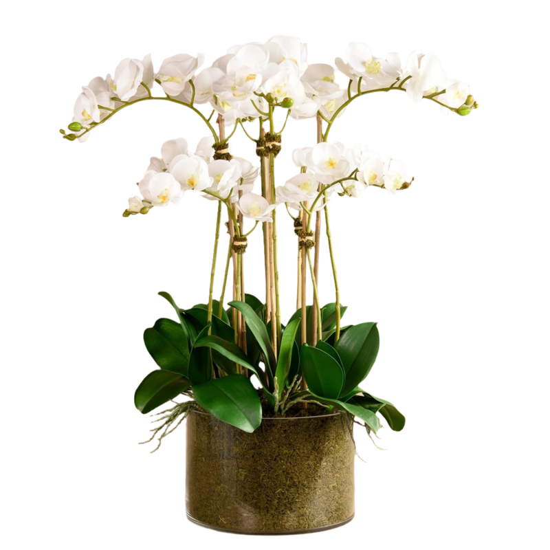 Artificial White Orchid Flower in Glass Vase