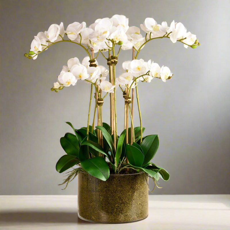Artificial White Orchid Flower in Glass Vase