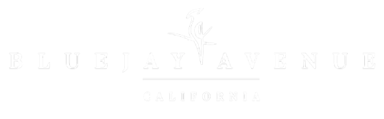 Logo File - BlueJay Avenue