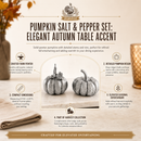 Vagabond House Pumpkin Pewter Salt & Pepper Shakers, Set of 2