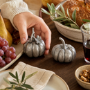 Vagabond House Pumpkin Pewter Salt & Pepper Shakers, Set of 2