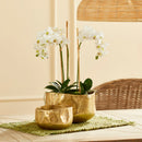 Amelia Gold Metal Cachepot Planters, Set of 2 - BlueJay Avenue