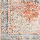 Amelie Rust Traditional Washable Rug - BlueJay Avenue