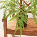 Artificial Forest Fern Plant Drop - In 29.5" - BlueJay Avenue