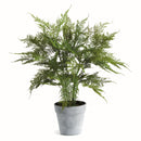 Artificial Plumosa Fern Drop - In 21" - BlueJay Avenue