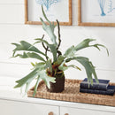 Artificial Staghorn Fern Drop - In 22" - BlueJay Avenue