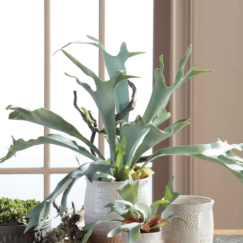 Artificial Staghorn Fern Drop - In 22" - BlueJay Avenue