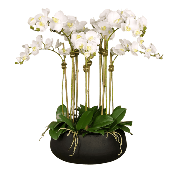 Artificial White Orchid Flower Arrangement in Black Planter - BlueJay Avenue