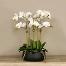 Artificial White Orchid Flower Arrangement in Black Planter - BlueJay Avenue