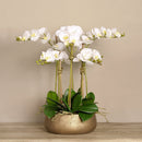 Artificial White Orchid Flower Arrangement in Gold Planter - BlueJay Avenue