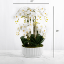 Artificial White Orchid Flower Arrangement in White Vase - BlueJay Avenue