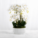 Artificial White Orchid Flower Arrangement in White Vase - BlueJay Avenue