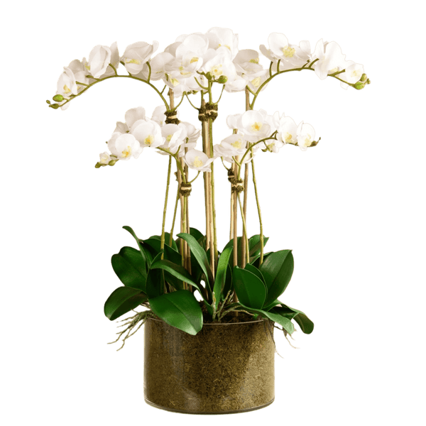 Artificial White Orchid Flower in Glass Vase - BlueJay Avenue