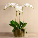 Artificial White Orchid Flower in Glass Vase - BlueJay Avenue