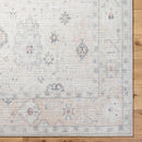 Ava Beige Vintage Style Traditional Area Rug - BlueJay Avenue