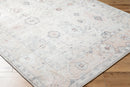 Ava Beige Vintage Style Traditional Area Rug - BlueJay Avenue