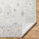Ava Beige Vintage Style Traditional Area Rug - BlueJay Avenue