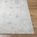 Ava Beige Vintage Style Traditional Area Rug - BlueJay Avenue