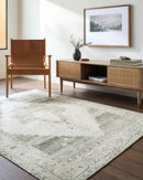Becki Owens Luca Sage Vintage Style Traditional Rug - BlueJay Avenue