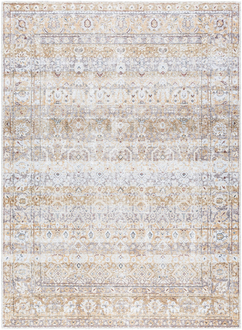 Beige Traditional Washable Rug - BlueJay Avenue
