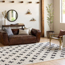 Beni Shag Cream Area Rug - BlueJay Avenue
