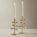 Brier Taper Candle Holders, Set Of 2 - BlueJay Avenue