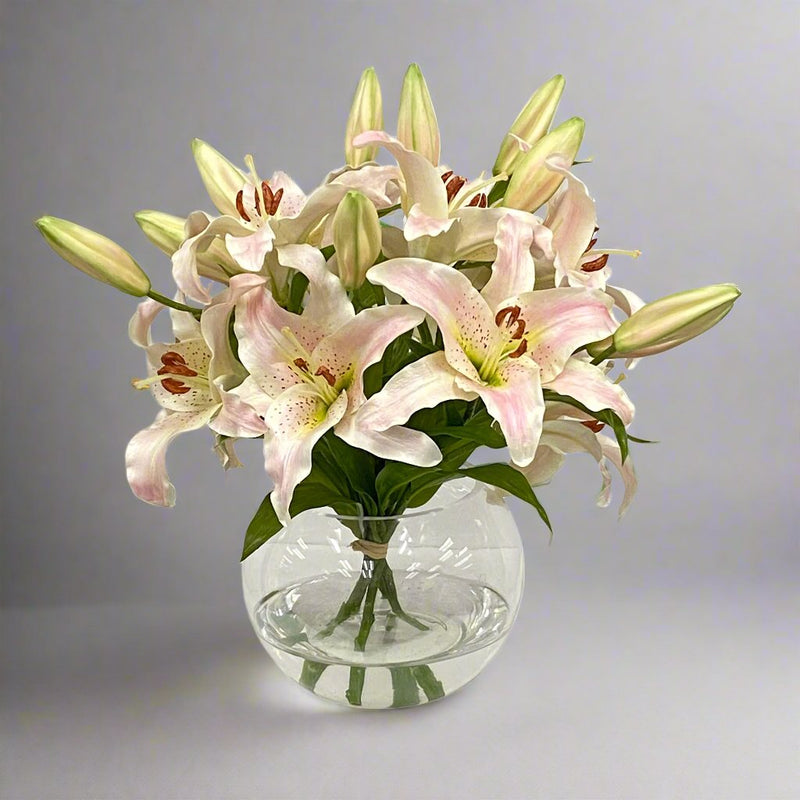 Casablanca Lily Flower Arrangement In Glass Bowl - BlueJay Avenue