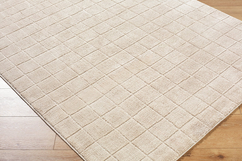 Cascade Beige Modern Area Rug - BlueJay Avenue