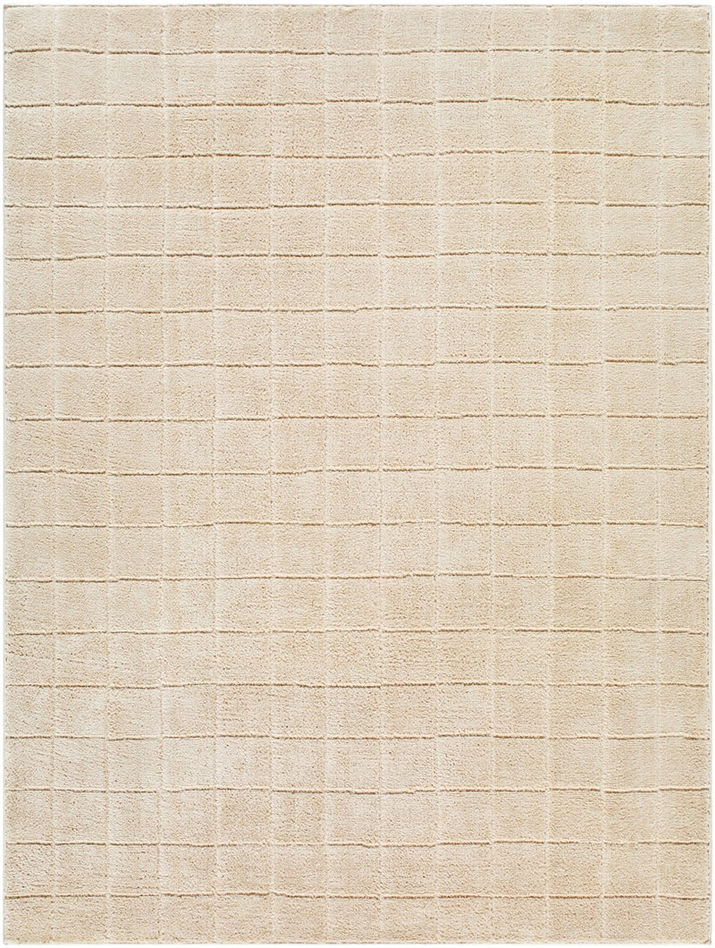 Cascade Beige Modern Area Rug - BlueJay Avenue