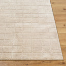 Cascade Beige Modern Area Rug - BlueJay Avenue